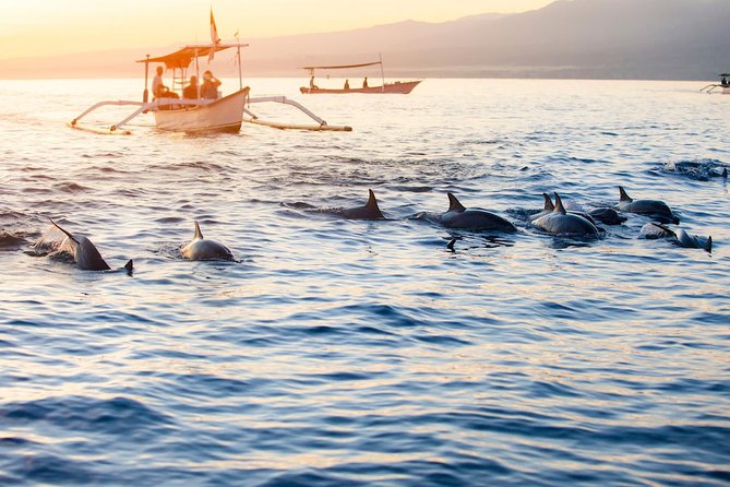 Amazing Private Tours: Dolphins Lovina and Gitgit Waterfall include Lunch - The long private road from Nusa Dua