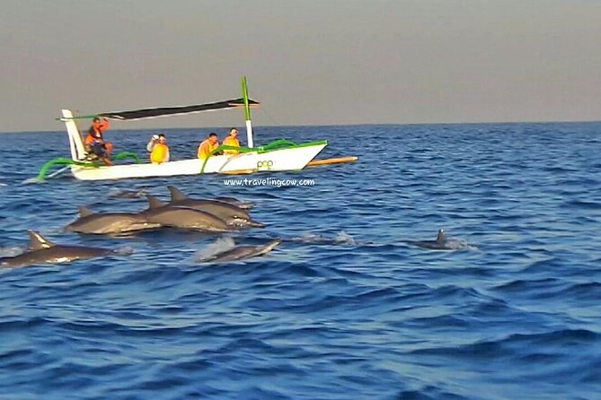 Amazing Private Tours: Dolphins Lovina and Gitgit Waterfall include Lunch - How to prepare for the 2:30 am departure