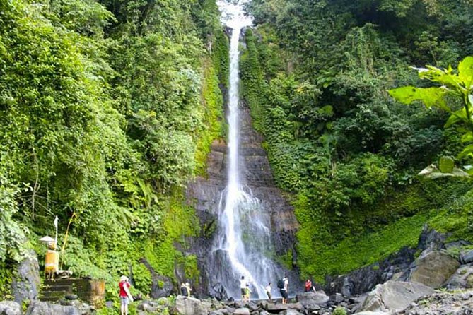 Amazing Private Tours: Dolphins Lovina and Gitgit Waterfall include Lunch - Ulun Danu Beratan and its garden setting