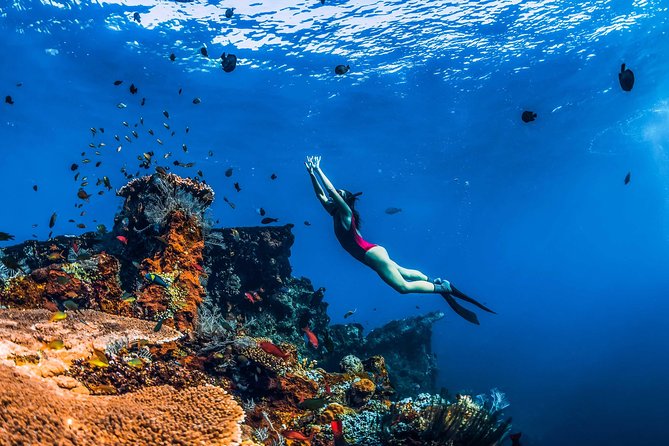 Amed Bali Snorkelling: Japanese Shipwreck & Vienna Beach Tour - Why the Japanese Shipwreck makes this Amed tour special