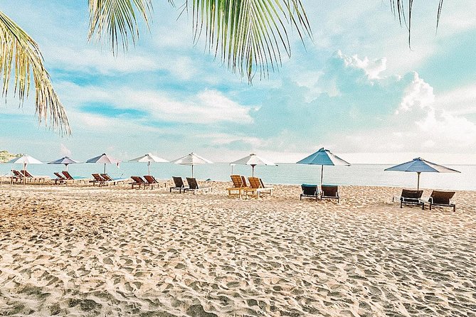 Amed Bali Snorkelling: Japanese Shipwreck & Vienna Beach Tour - Timing, transport, and weather