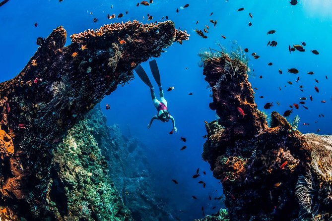 Amed Bali Snorkelling: Japanese Shipwreck & Vienna Beach Tour - Who will enjoy this outing most