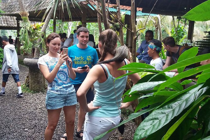 ATV Quad Bike with Kintamani Volcano Tour - All Inclusive - Private service, drivers, and the feel of the day