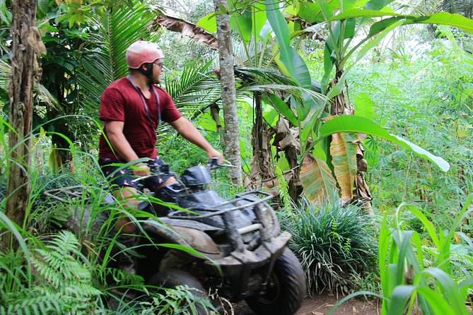 ATV Quad Bike with Kintamani Volcano Tour - All Inclusive - Lunch and the useful all-inclusive details