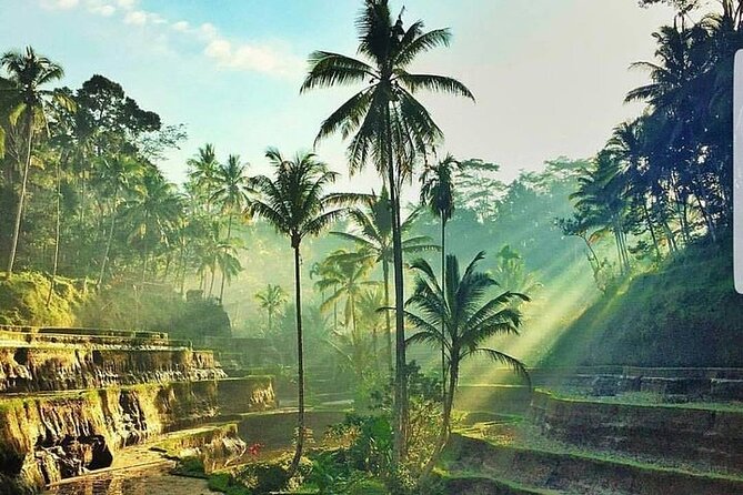 ATV Ride & Ubud Tour - Lunch gives you a needed reset