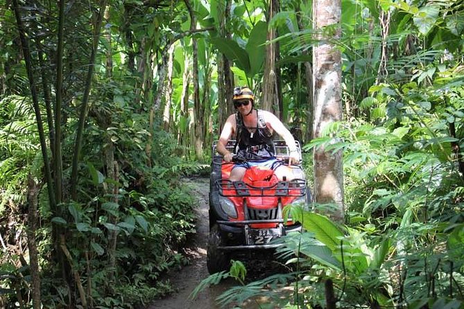 ATV Tour with Monkey Forest Experience in Bali - Lunch is a useful break, not an afterthought