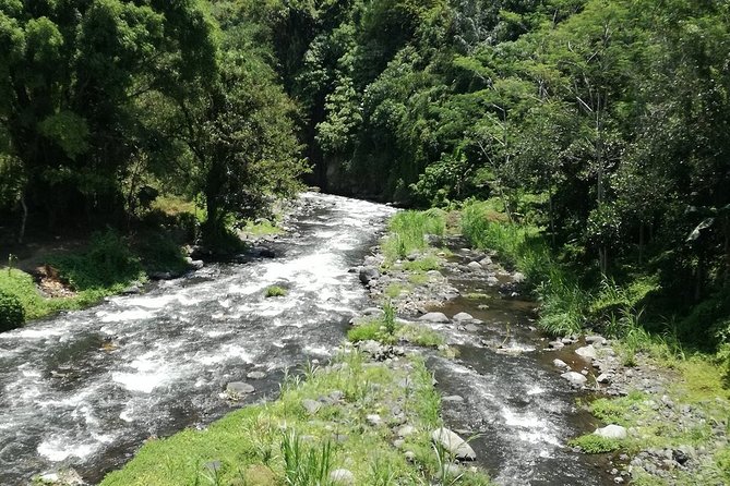 Ayung Rafting Ubud (Include Lunch & Return Transportation) - Buffet lunch after the finish