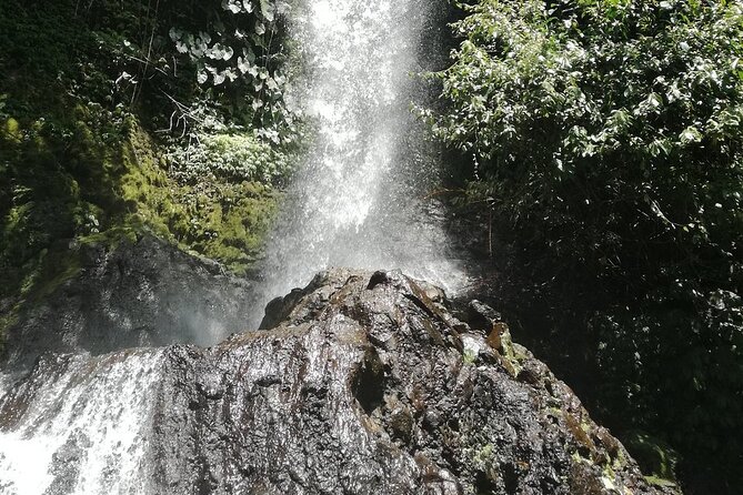 Ayung Rafting Ubud (Include Lunch & Return Transportation) - Who will enjoy this most