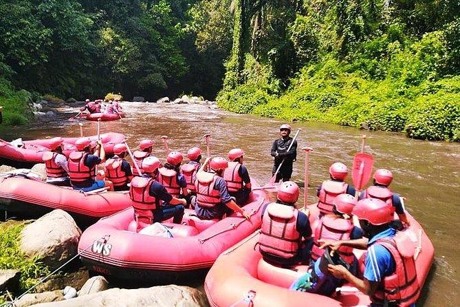 Ayung River Half-Day White Water Rafting Bali in Ubud - What the $28 price really covers