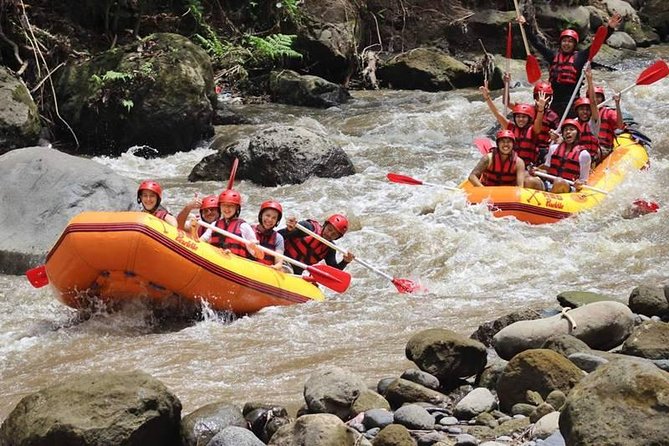 Ayung River Half-Day White Water Rafting Bali in Ubud - Who should book this rafting trip