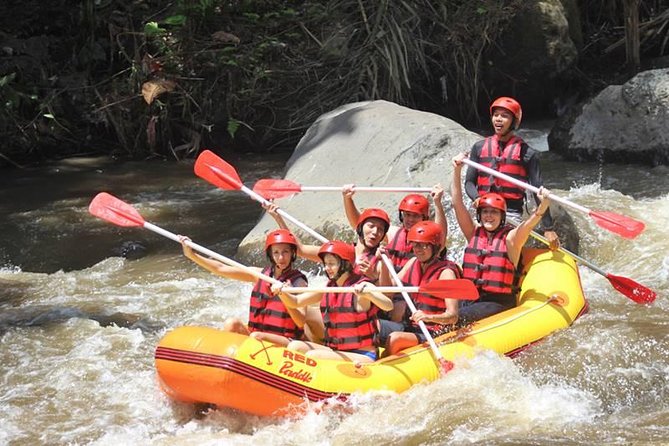 Ayung River Half-Day White Water Rafting Bali in Ubud - Booking details worth knowing