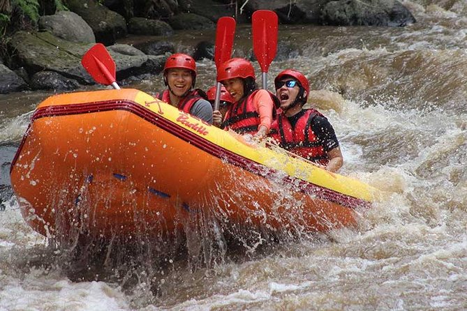 Ayung River - White Water Rafting Bali - Why the Ayung River works well for a first rafting trip