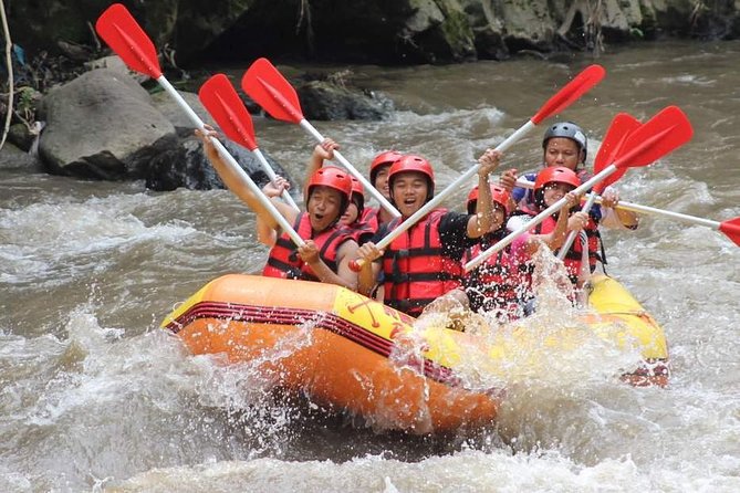 Ayung River - White Water Rafting Bali - The walk down is part of the challenge