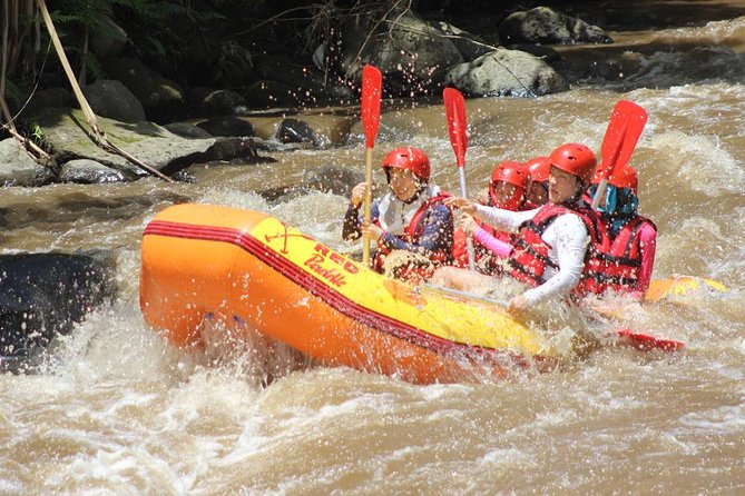 Ayung River - White Water Rafting Bali - Lunch and a proper cleanup finish the outing