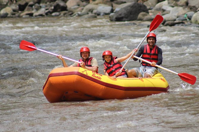 Ayung River - White Water Rafting Bali - Hotel pickup makes this a simple half-day plan