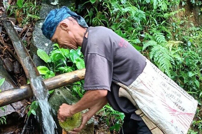 Baduy Tribal Tracker and Village in Private Tour Full Day & Lunch - Why Baduy Luar feels so different from Jakarta