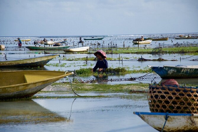 Bali 2 Days and 1 Nights of Nusa Penida and Lembongan Tour - The pace, comfort, and practical tradeoffs