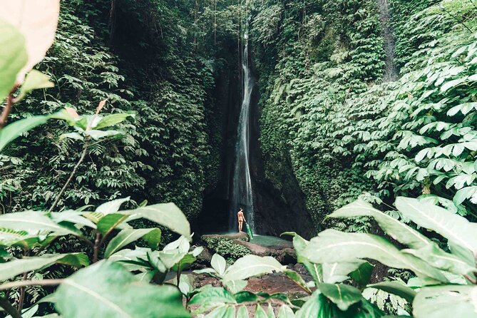 Bali 3 Days Private Tour-Bali Highlight - Is $229.99 good value?