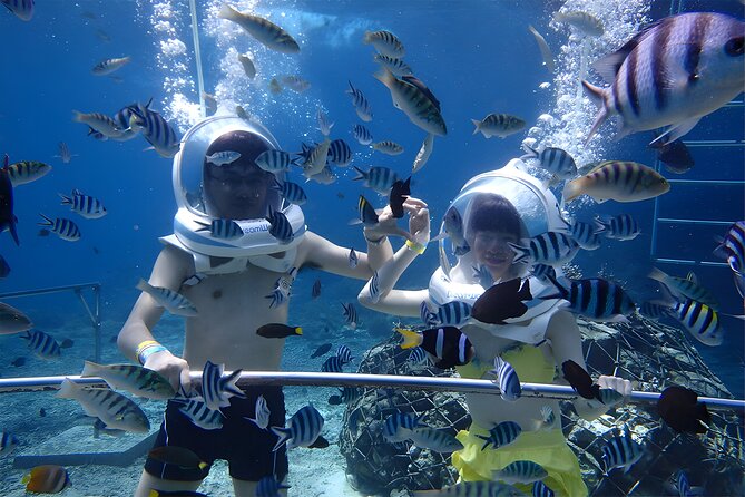 Bali Activity: Bali Sea Walking in Nusa Dua Ocean - What the four-hour outing includes