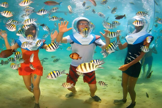 Bali Activity: Bali Sea Walking in Nusa Dua Ocean - Who will enjoy this most?