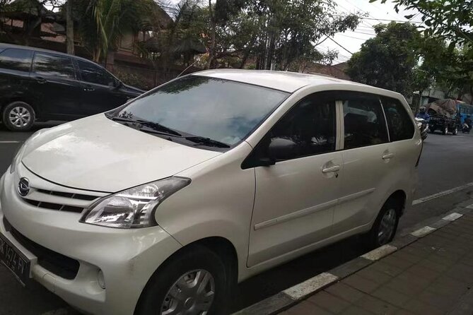 Bali Airport (DPS) Private Transfer to Multiple Destinations - The airport waiting window and flight delays