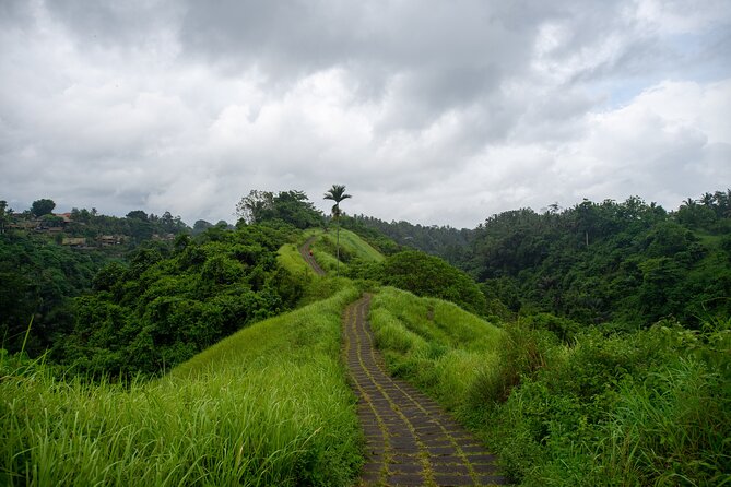 Bali Airport Pickup Transfer to Ubud Area (Private) - The 1.5 to 2-hour road to Ubud