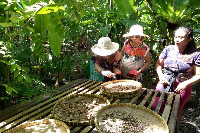 Bali All Inclusive : Tlaga Singha Infinity Pool & Atv Adventure - A Possible Coffee And Fruit Stop