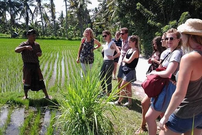 Bali Amazing Cooking Class - The strongest reasons to book