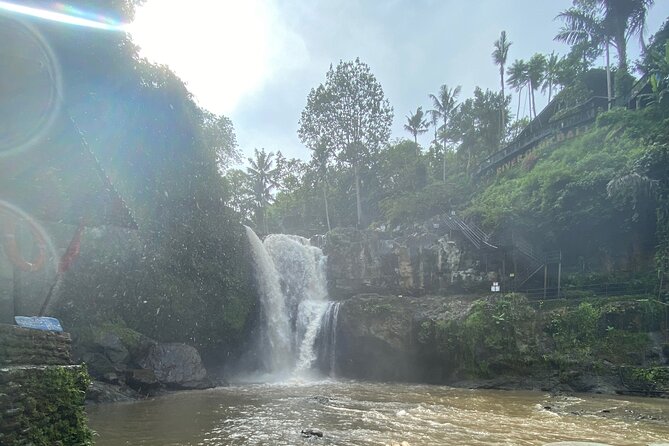 Bali Arts shopping with temples-waterfall visit. - Elephant Cave, an archaeological and religious stop