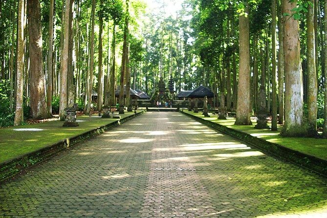 Bali ATV Combined with Mumbul Lake And Sangeh Monkey Forest - Private transport and pickup zones