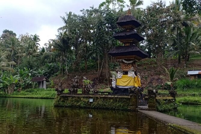 Bali ATV Combined with Mumbul Lake And Sangeh Monkey Forest - Who should book this experience