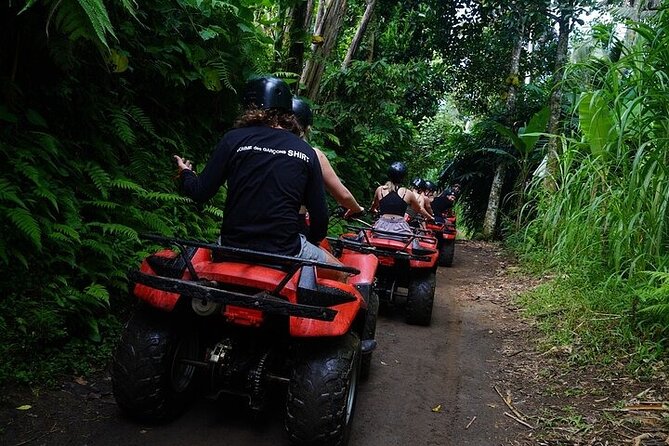 Bali ATV Quad Bike Adventure with Gorilla Cave Pass By Waterfall - Who should book this Bali adventure