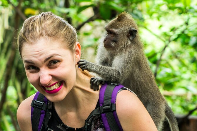 Bali ATV Quad Bike Adventures - How much value do you get for $39.78?