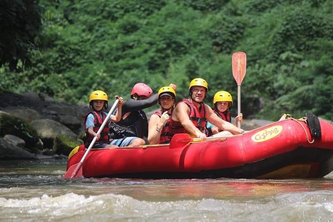 Bali ATV Rafting And Ubud Waterfall Private Tour - ATV tracks through jungle, streams, and rice fields