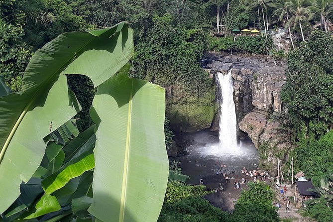 Bali ATV Rafting And Ubud Waterfall Private Tour - Who will enjoy this tour most