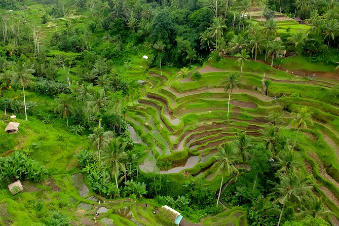 Bali ATV Ride And Ubud Tour Packages : Best Quad Bike Trip - Why this Bali ATV and Ubud tour works