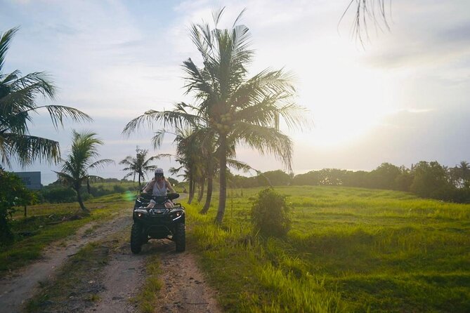 Bali ATV Ride On the Beach, Rice Field and Village Tour 2 Hour - Should You Book the Tabanan Beach ATV Ride?