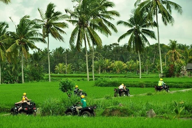 Bali ATV Ride tour Ubud - Riding Through Jungle and Rice Fields