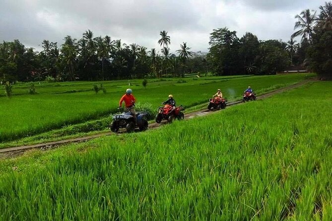 Bali ATV Ride tour Ubud - Indonesian Lunch After the Ride