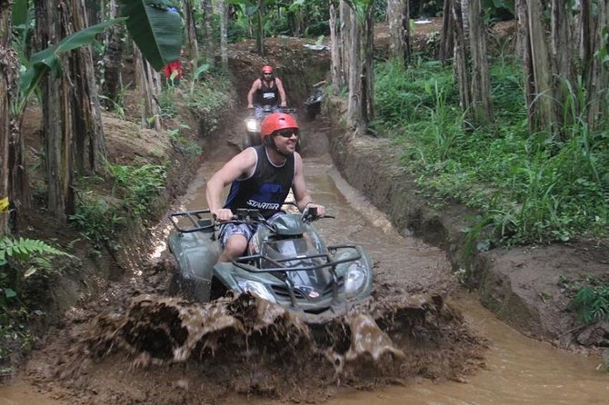 Bali ATV Ride with Jungle Swing and Rice Terrace Tour - Why this Bali day works well