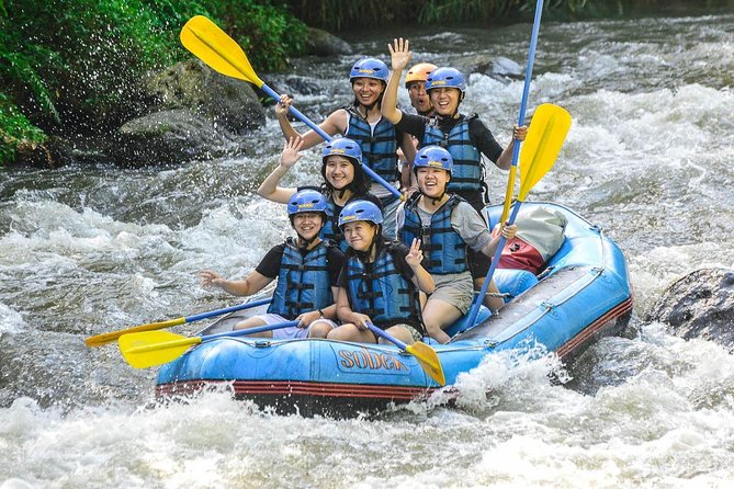 Bali: Ayung River White Water Rafting Adventure - What the Ayung River rapids feel like