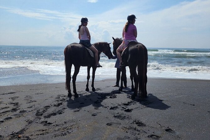Bali Beach Horse Riding combo with waterfall All Inclusive - What the guides add to the day