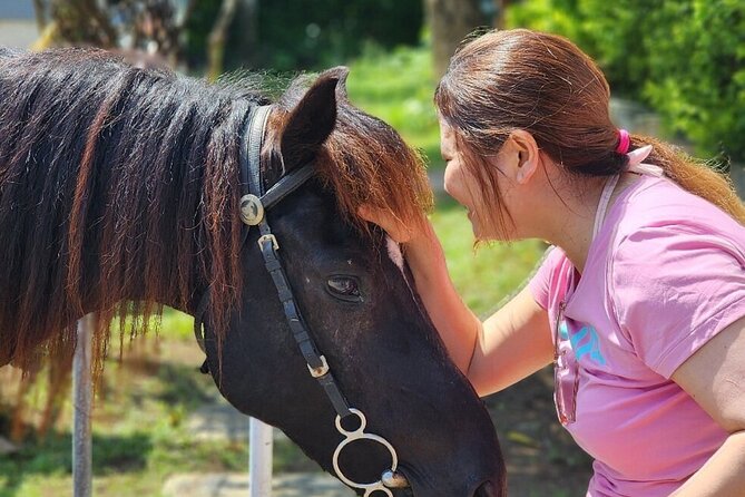 Bali Beach Horse Riding combo with waterfall All Inclusive - Should you book this beach and waterfall day?