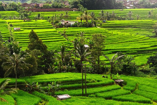 Bali: Bedugul Lake Temple, Banyumala Waterfall, UNESCO Rice Field - The long ride from Seminyak to Bali’s highlands