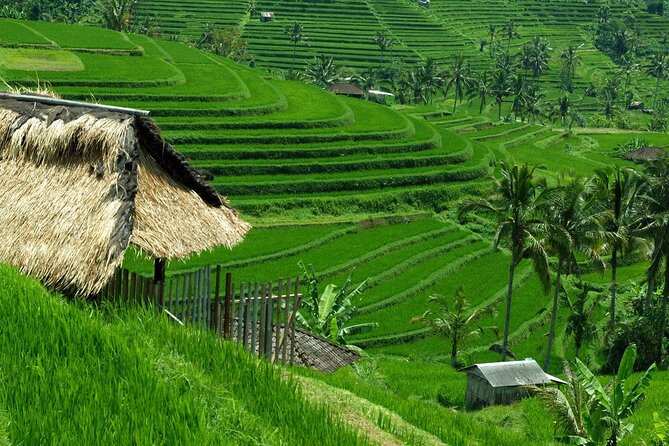Bali: Bedugul Lake Temple, Banyumala Waterfall, UNESCO Rice Field - Ulun Danu Beratan Temple on the lake