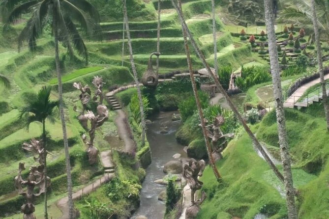 Bali Benoa Shore Excursion for cruise's passenger - All Inclusive - Lunch at Ceking comes with a rice-field view