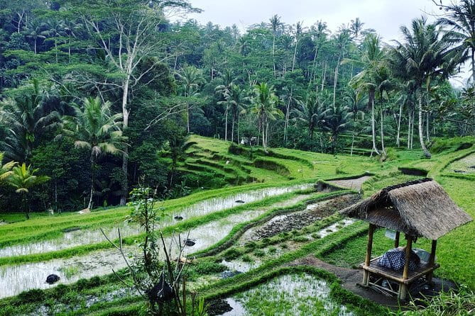 Bali: Best Eastern Waterfalls with Private Bali Tours - Tibumana’s jungle path and pool