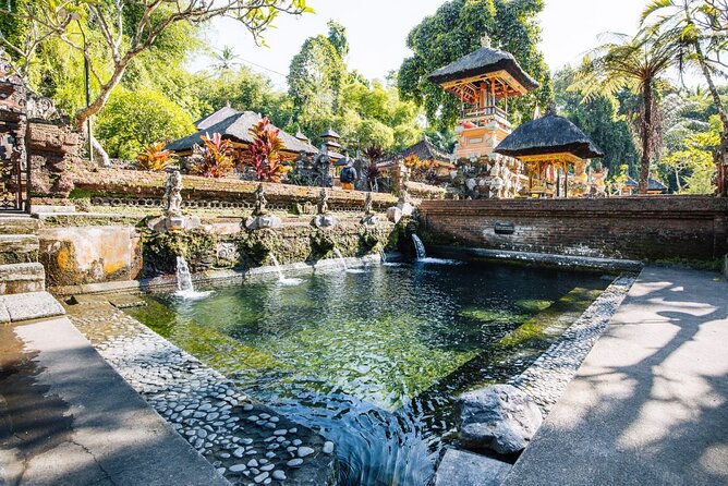 Bali Best Of Ubud Tour Private and All Inclusive - What the private guide adds
