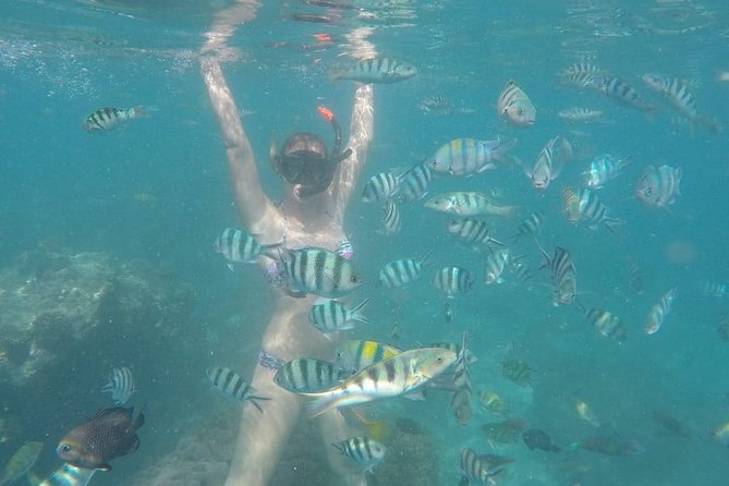 Bali Best Snorkeling at Blue Lagoon - Weather, cancellation, and the best day to go