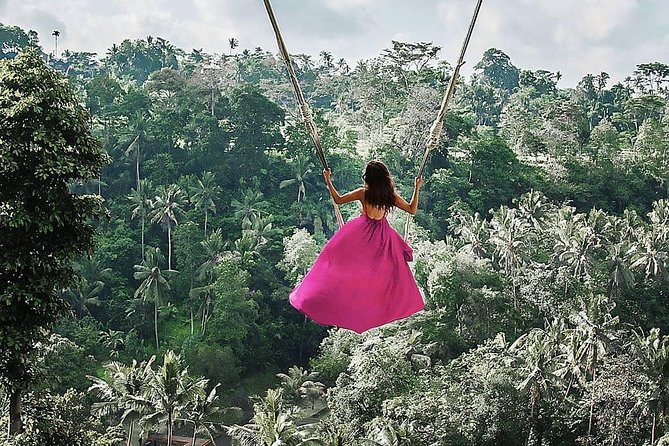 Bali BEST Things to Do Private Full-day Tour from Your Hotel - Tegalalang Rice Terrace and Bali’s working countryside